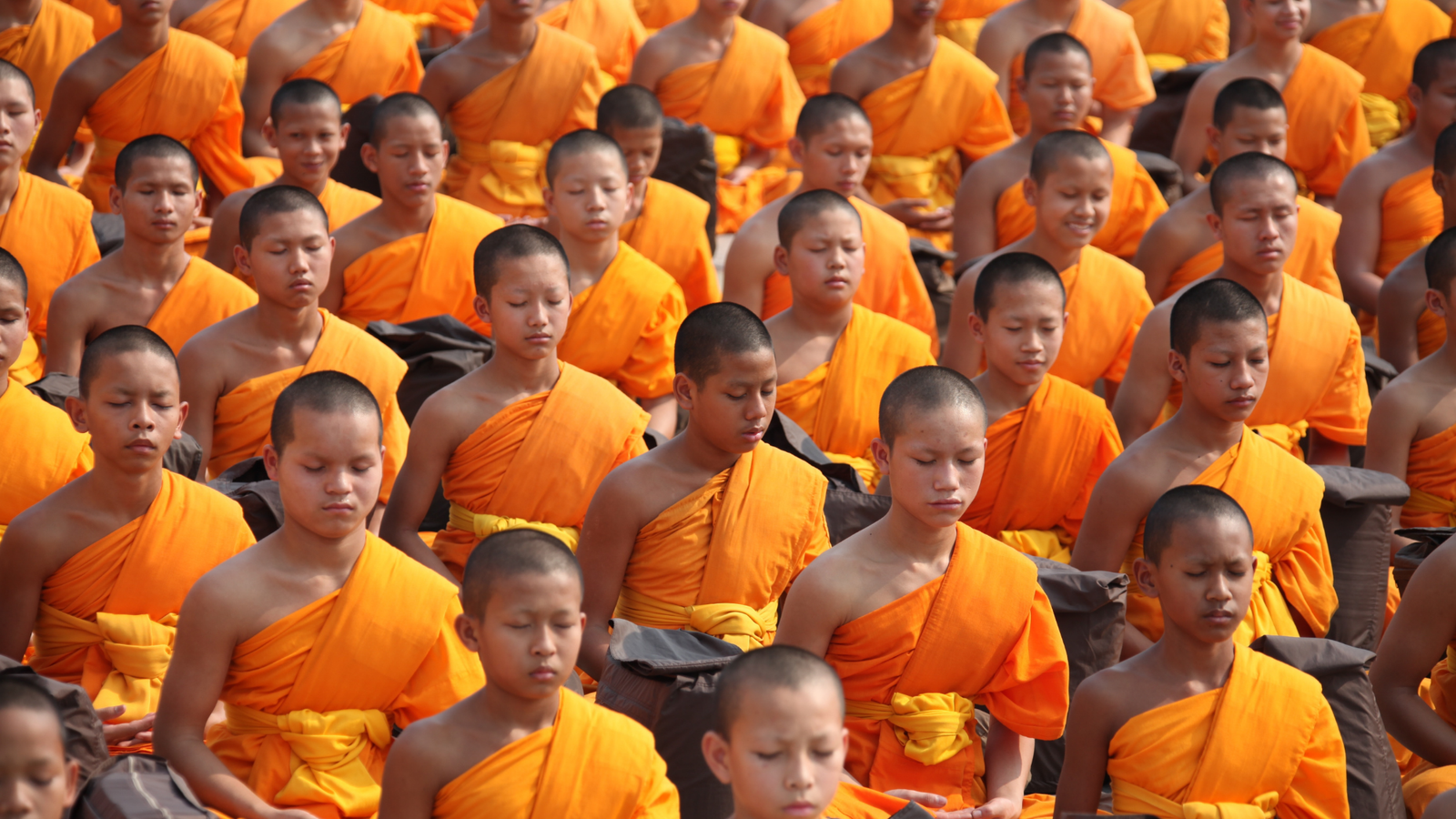 Monks in orange dresses are worshipping.