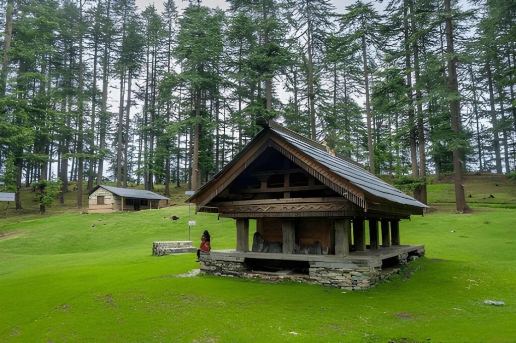 A traditional wooden temple, identified as the Balo Temple (or Annat Balu Nag Temple), situated in a lush green meadow surrounded by tall pine trees in Jibhi, Himachal Pradesh, India.