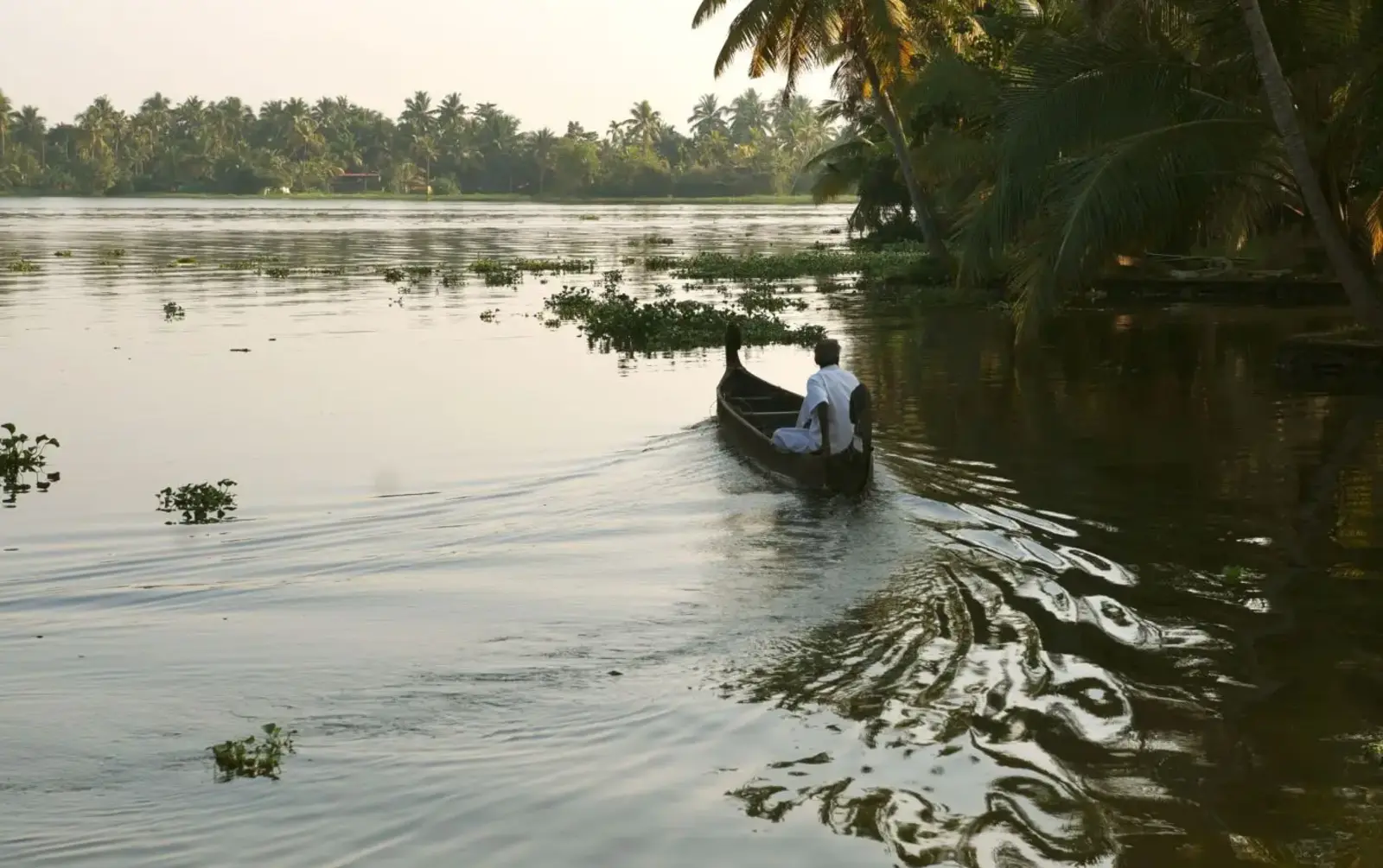 Image of the Alleppey backwaters in Kerala, India